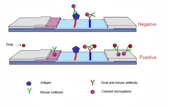 principe van urinedrugstest
