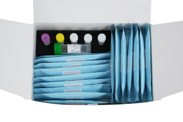 Human Papillomavirus HPV Genotypering Detectiekit (fluorescentie PCR -methode) 