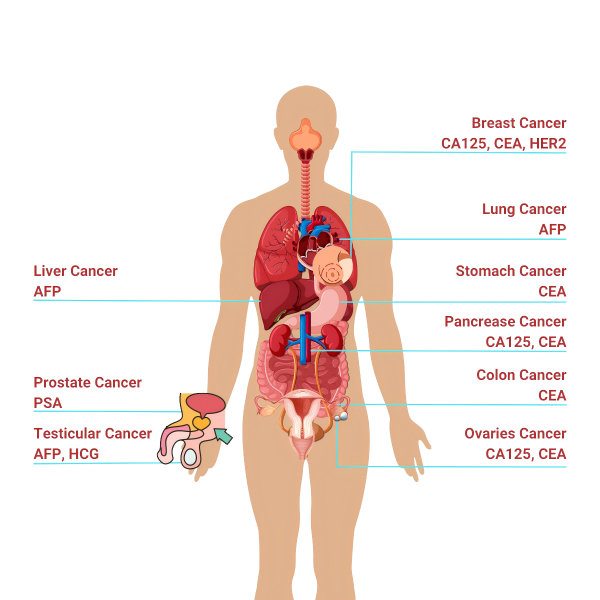 Bioteke Tumour Markers Test Kits.png
