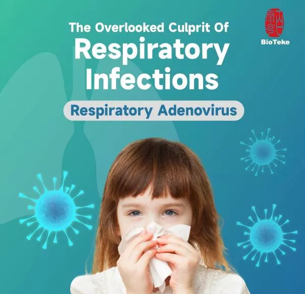 adenovirus - 副本_596_574.jpg