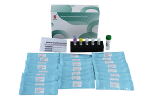 Human Papillomavirus HPV Genotypering Detectiekit (fluorescentie PCR -methode) 