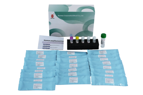 Human Papillomavirus HPV Genotypering Detectiekit (fluorescentie PCR -methode) 