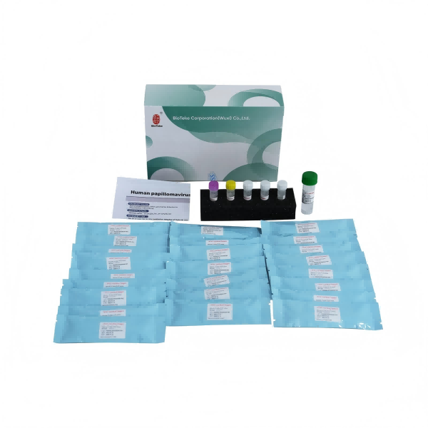 HPV -genotyperingskit