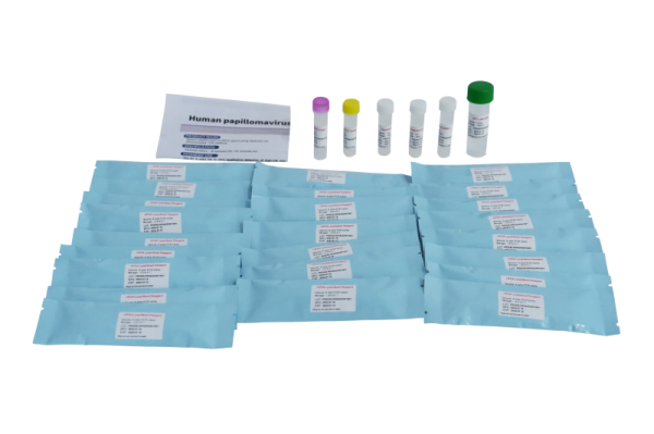 Human Papillomavirus (HPV) genotypering Detectiekit PR2026-HP01 (fluorescentie PCR-methode)