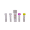 Seksueel overdraagbare infectie (STI) Screening Kit PR2026-ST02 (Fluorescentie PCR-methode)