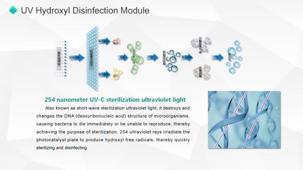 Dual-band UV-hydroxylsterilisatie