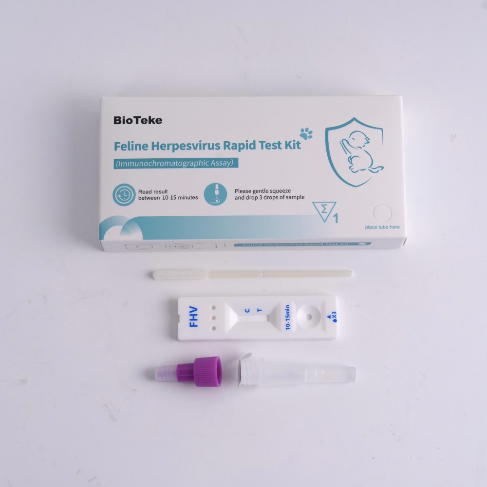 Feline herpesvirus -test