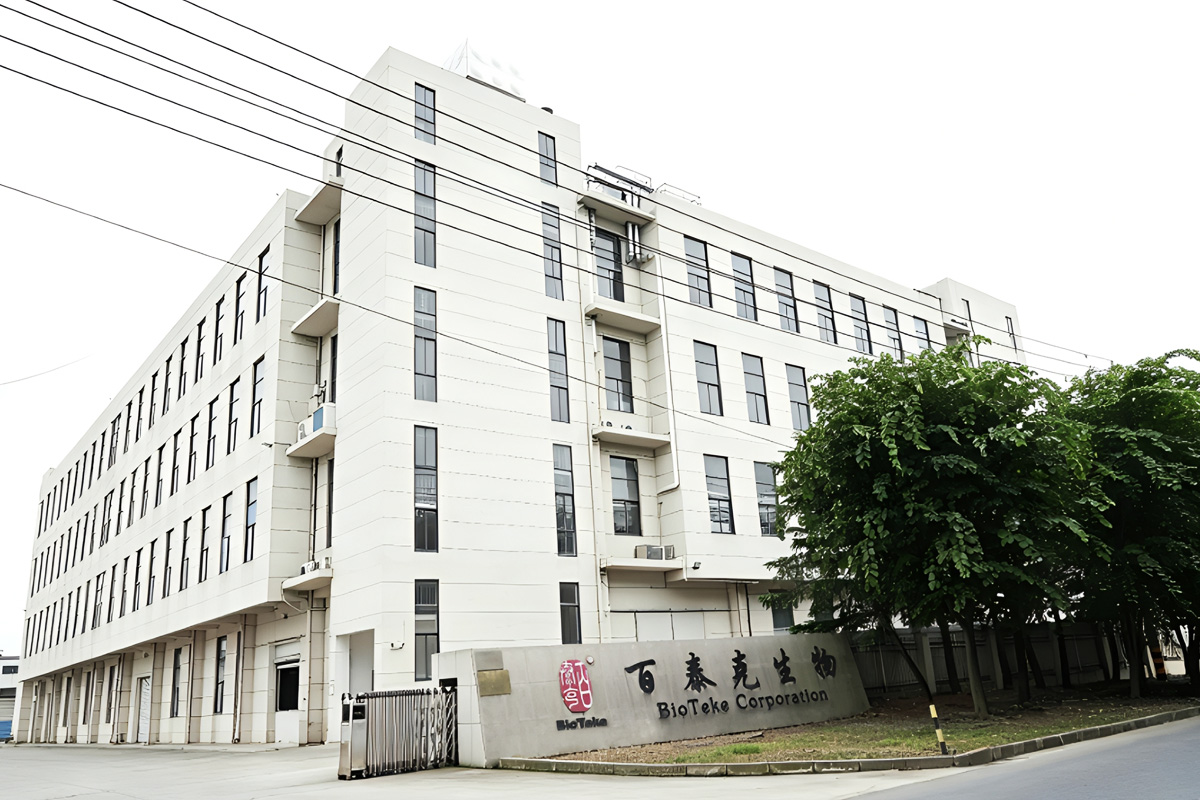 工厂大楼.jpg
